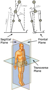 Diagram of walking dynamic on different planes